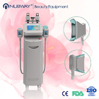 Cryolipolysis Machine 2014/Cryolipolysis Body Slimming Beauty Equipment