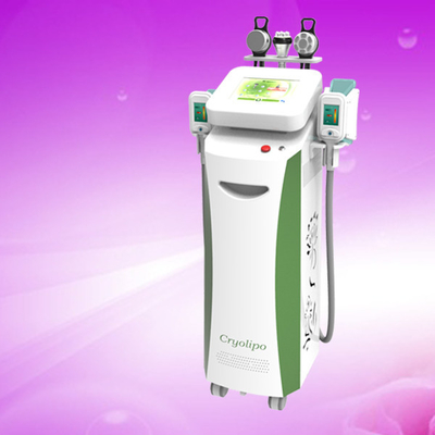 CE Certification Vacuum Cryolipolysis Slim Sonic Cellulite Reduction Machine