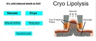 Factory price !!! New Cryolipolysis RF Cavitation Vacuum Slimming Machine