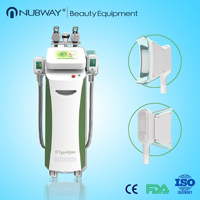 Cryolipo Slimming Beauty Equipment cryolipolysis cool shaping machine