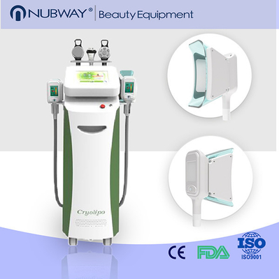 Cryolipo Slimming Beauty Equipment cryolipolysis cool shaping machine