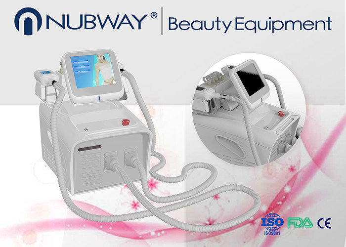 2 in 1 Slimming Beauty Equipment Lipo Laser Fat Dissolving Cryolipolysis